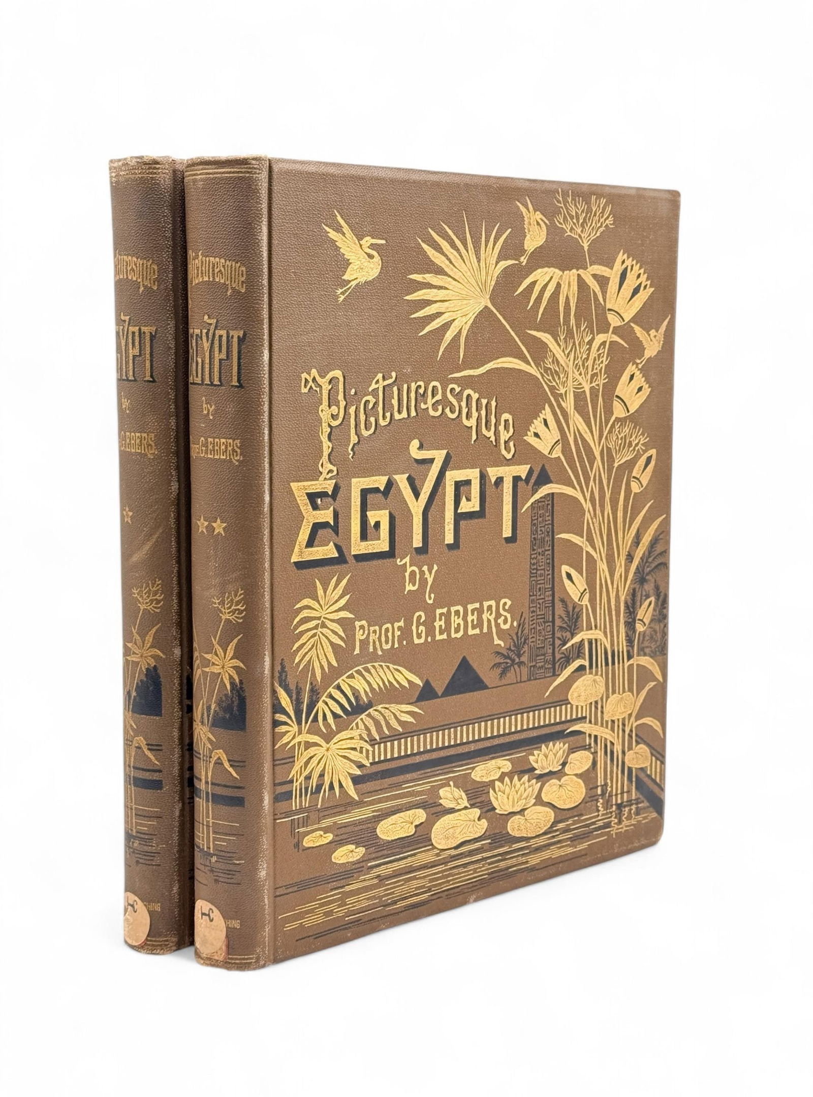 2 Vols. Picturesque Egypt. (1 of 4)
