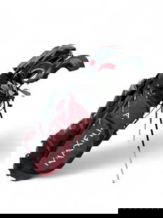 Gen. Brown golf clubs & Arnold Palmer signed ball.: A set of Lt. Gen. James R. Brown, USAF golf clubs and Arnold Palmer signed ball. 24" x 14" x 9". Provenance: From the Estate of U.S.A.F. Lt. General James R. Brown (1930-2015).