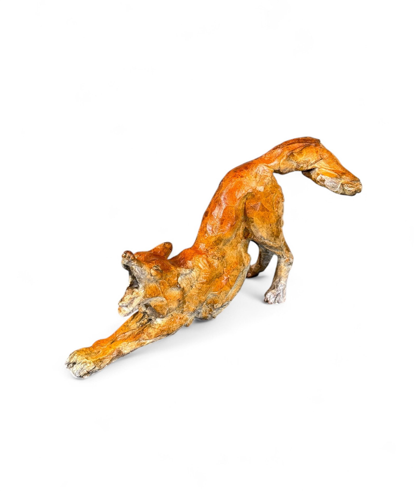 Paul Rhymer, Stretching Coyote, bronze.: Rhymer, Paul (American/Maryland, active 21st c.). "Stretching Coyote." Bronze sculpture. No. 24/26. Etched signature and editioned on torso. 3 1/2" x 7" x 2 1/2". Provenance: From the Estate of U.S.A.