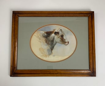 Nancy O'Neill, Portrait of a cow, 1971.