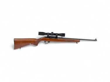 Ruger M10/22 Carbine semi-auto rifle, .22 LR