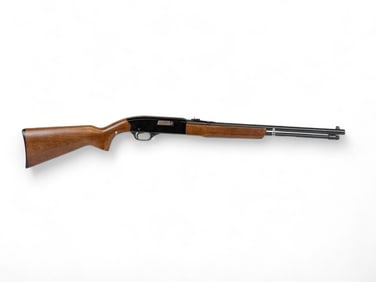 Winchester M190 semi-auto rifle, .22 cal.