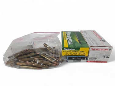 Rifle ammunition, 105 rounds