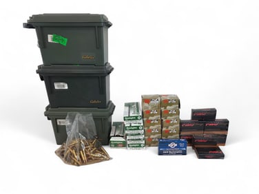 .223 ammo, 700 rounds