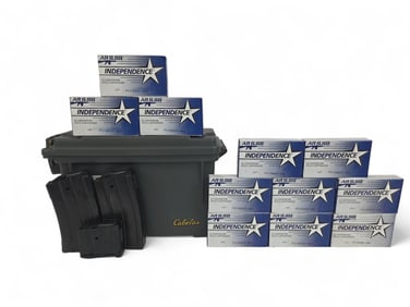 11 5.56x45mm ammo and Mini-14 Mag, 220 rounds