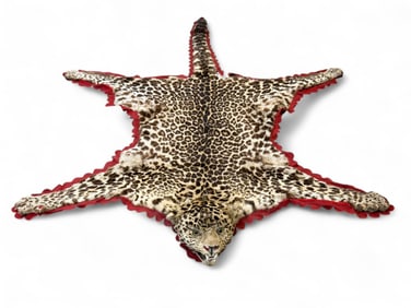 Head mounted leopard skin rug VA BUYERS ONLY.