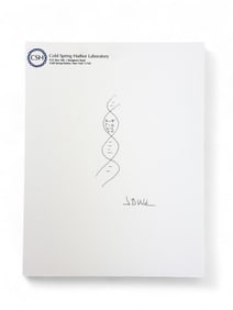 Signed Sketch of DNA Molecule by James D. Watson