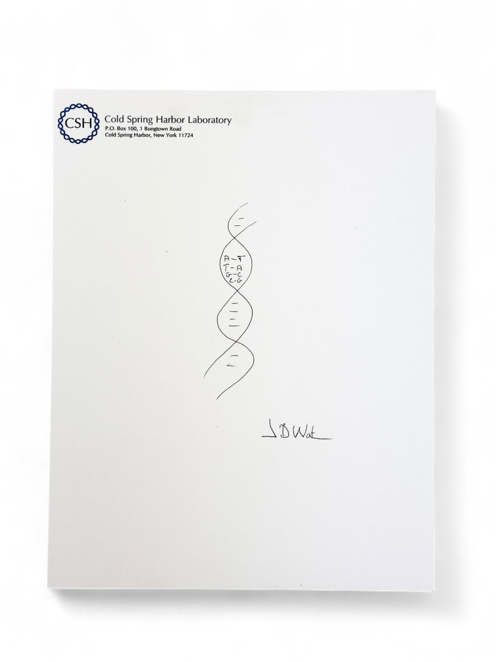 Signed Sketch of DNA Molecule by James D. Watson (1 of 2)
