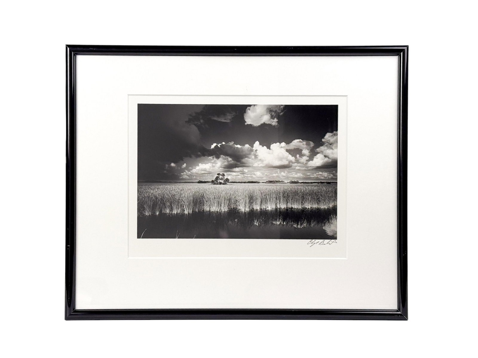 Clyde Butcher, "Ochopee," photograph. (1 of 6)