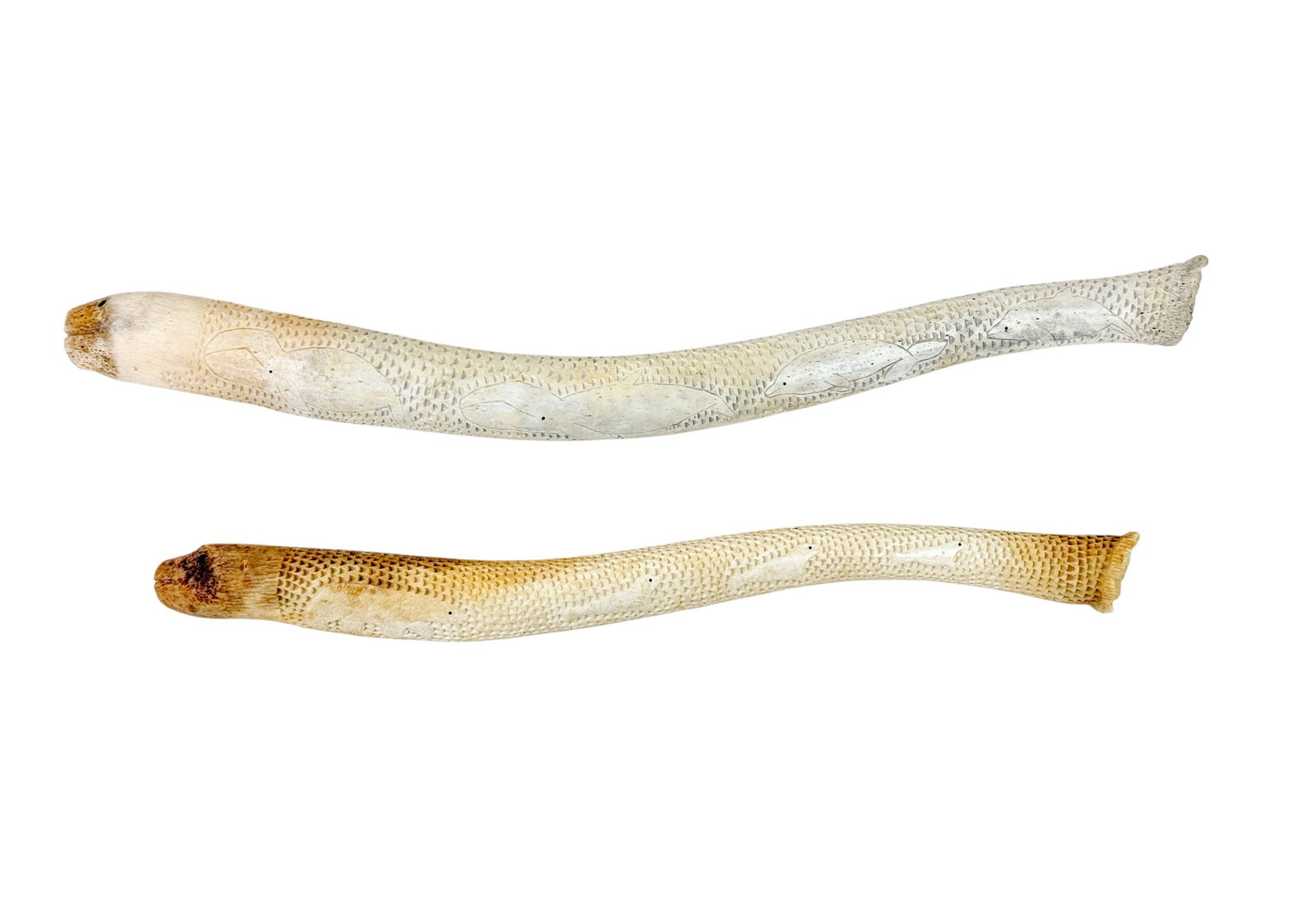 2 Inuit Oosik carved Baculum penile bone clubs.: A group of two Inuit carved Baculum penile bone clubs. Carved Polar Bear head and face opposite. Side has polar bears and marine animals. One signed "Gordon Oozevaseuk" and other "Melcher Oozevaseuk."