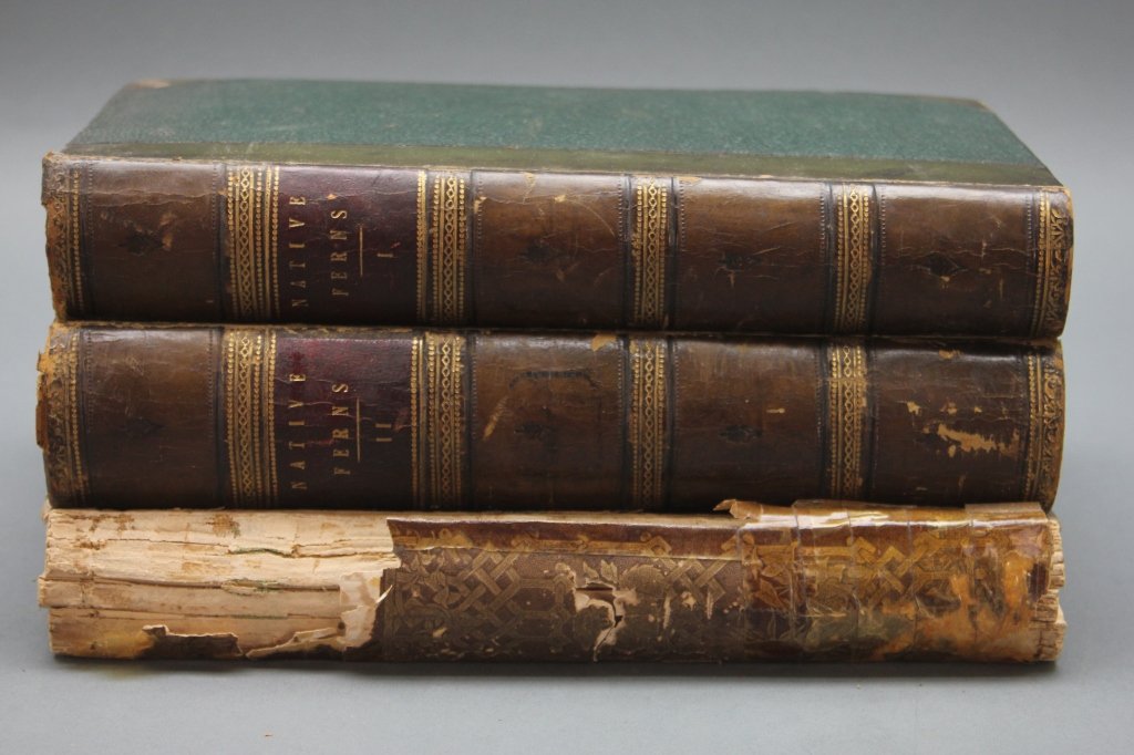 3 Vols incl: Lowe. OUR NATIVE FERNS. 2 Vols. 1865.: [Ferns]. 2 Titles (3 Vols). ++ E. J. Lowe. OUR NATIVE FERNS; Or a History of the British Species and their Varieties. Lon: Groombridge and Sons, 1865. 8vo. Vol I: [4], vii, [i], [2], [7]-348 pp. Vol I