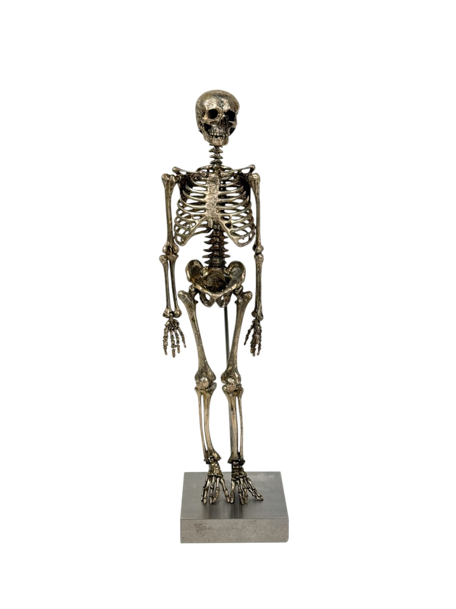 Metal articulated skeleton. (1 of 4)