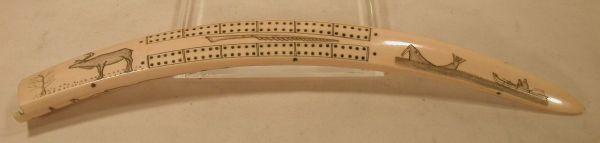 Eskimo engraved Walrus tusk cribbage boa
