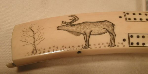 Eskimo engraved Walrus tusk cribbage boa - 3