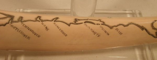 Eskimo engraved Walrus tusk cribbage boa - 6