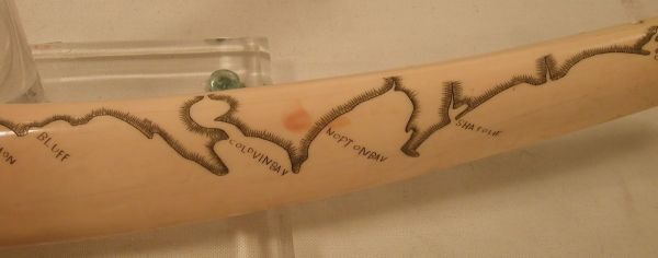 Eskimo engraved Walrus tusk cribbage boa - 7