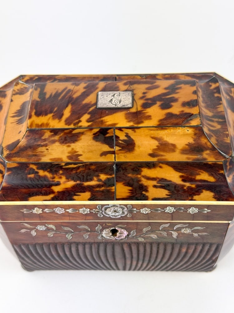 English tortoise shell tea caddy. - 6