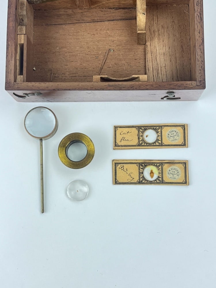 Victorian Case-Mounted Simple Microscope - 7