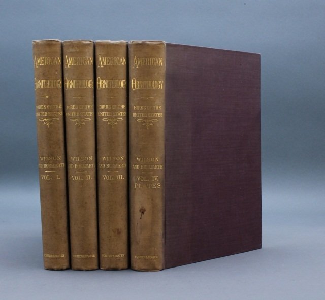 Wilson and Bonaparte. AMERICAN ORNITHOLOGY. 4 Vols: [Birds]. Alexander Wilson and Charles Lucian Bonaparte. AMERICAN ORNITHOLOGY; Or, the Natural History of the Birds of the United States. 4 Vols. (Vol IV is a Plate volume). Phila: Porter & Coates, (nd