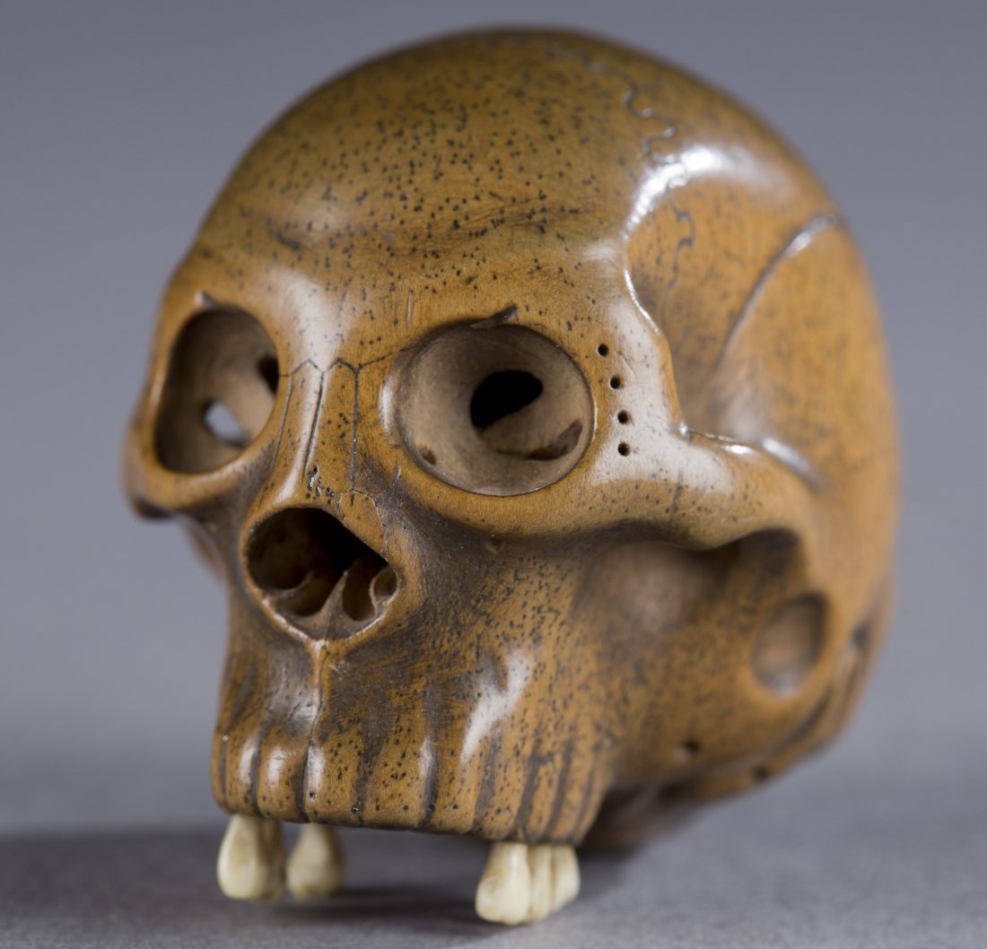 Wooden skull netsuke.: A wooden netsuke of a skull with teeth. By Hogen Tadashige, Nagoya. Mid 19th century. There are six teeth inlaid and eight sockets that have been left empty. At the base of the skull and surrounding t