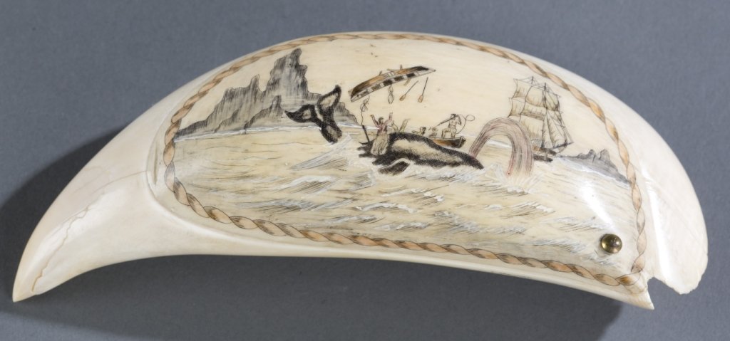 Whale tooth painted & etched Scrimshaw.: A Scrimshaw whale tooth with etched whaling scene and a high relief carved whale under hinged opening. 6" x 2 1/8". Bidders should be aware of the changing laws regarding commercialization of ivory an