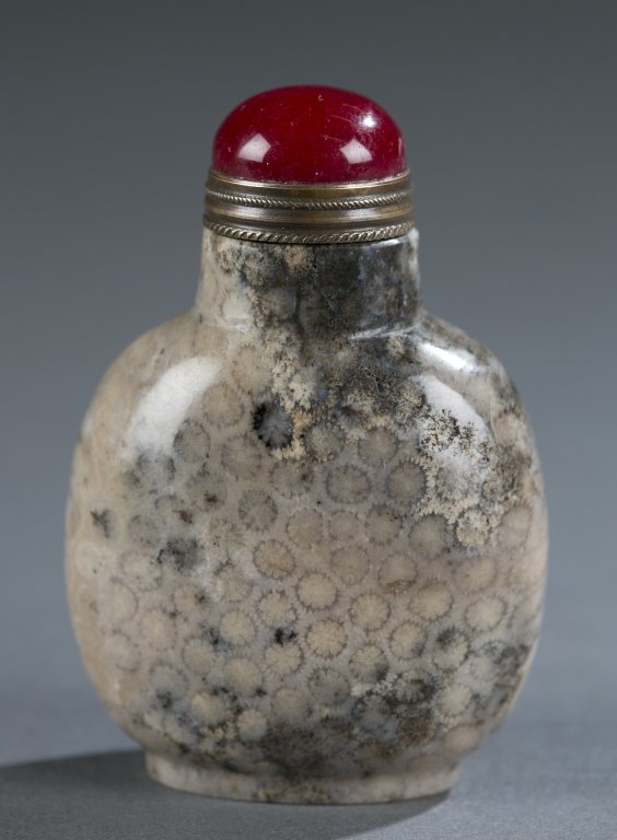 Chinese fossilized coral snuff bottle.: A Chinese fossilized coral chrysanthemum snuff bottle. 1860-1940. Having a flattened round form with an oval foot rim, a short neck and concave mouth. Having a chrysanthemum design on the front and a 