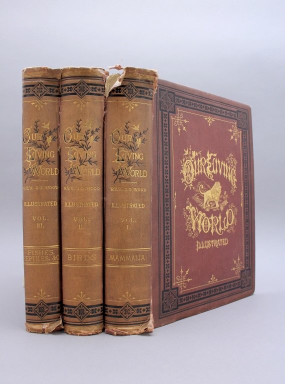 Wood and Holder. OUR LIVING WORLD. 3 Vols. (1885). (1 of 4)
