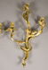 Pair of partial gilt rococo style 3 arm sconces. - 2