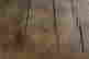 item-44110379=3
