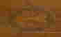 item-44110381=5