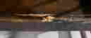 item-44110383=3