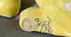 item-44110506=6