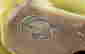 item-44110506=9