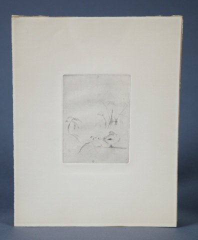 Drypoint by Berthe Morisot (France, 1841-1895).: Berthe Morisot (France, 1841-1895). Ducks and Water plants, Drypoint, 1888. 5½" x 4", sheet 12 3/4" x 9 3/4".