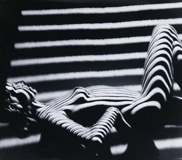 [Photographs]. Dozens of b&w photographs, 8 x 10