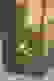 item-45710966=6
