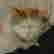 item-545127=4