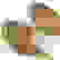 item-183239=2