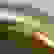 item-319119=4