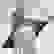 item-319126=6