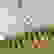 item-319128=2