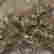 item-319159=4