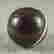 item-120402530=2