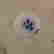 item-124434018=7