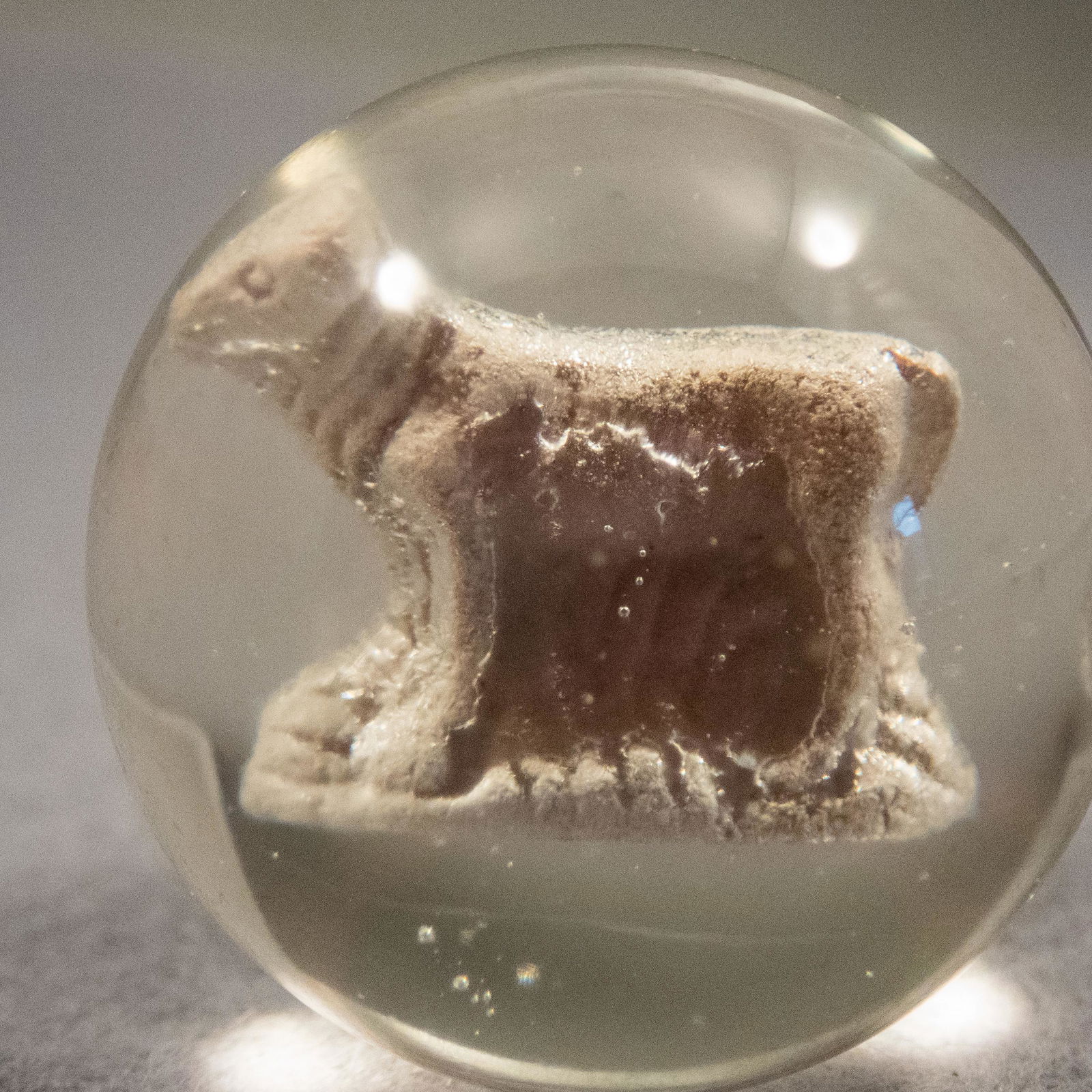 Marbles: SULPHIDE. Cow. 1-3/16". Near Mint(+) (8.7). (1 of 6)