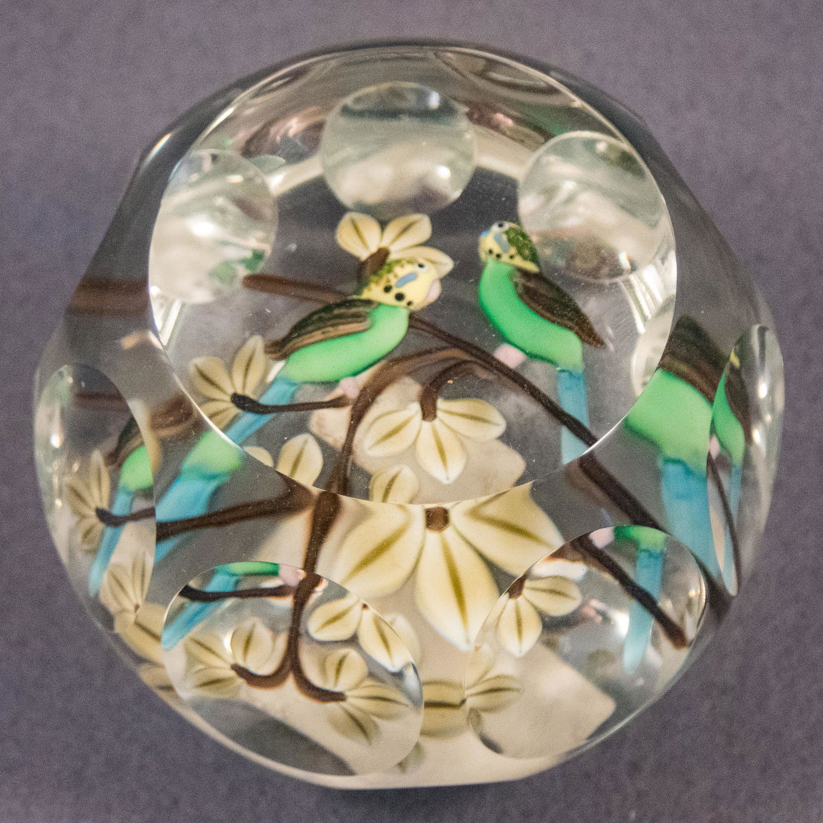 PAPERWEIGHT, Perthshire Glass. Budgies. L/E. (1 of 8)