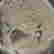 item-131576019=7