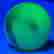 item-131576137=7