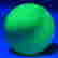 item-131576137=8