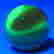 item-133252746=7